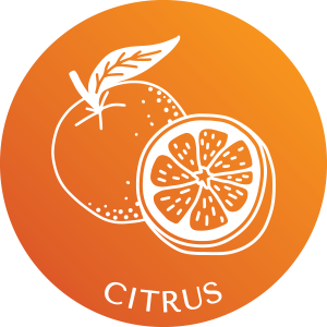 CharlesFaram-icon-citrus-01-citrus